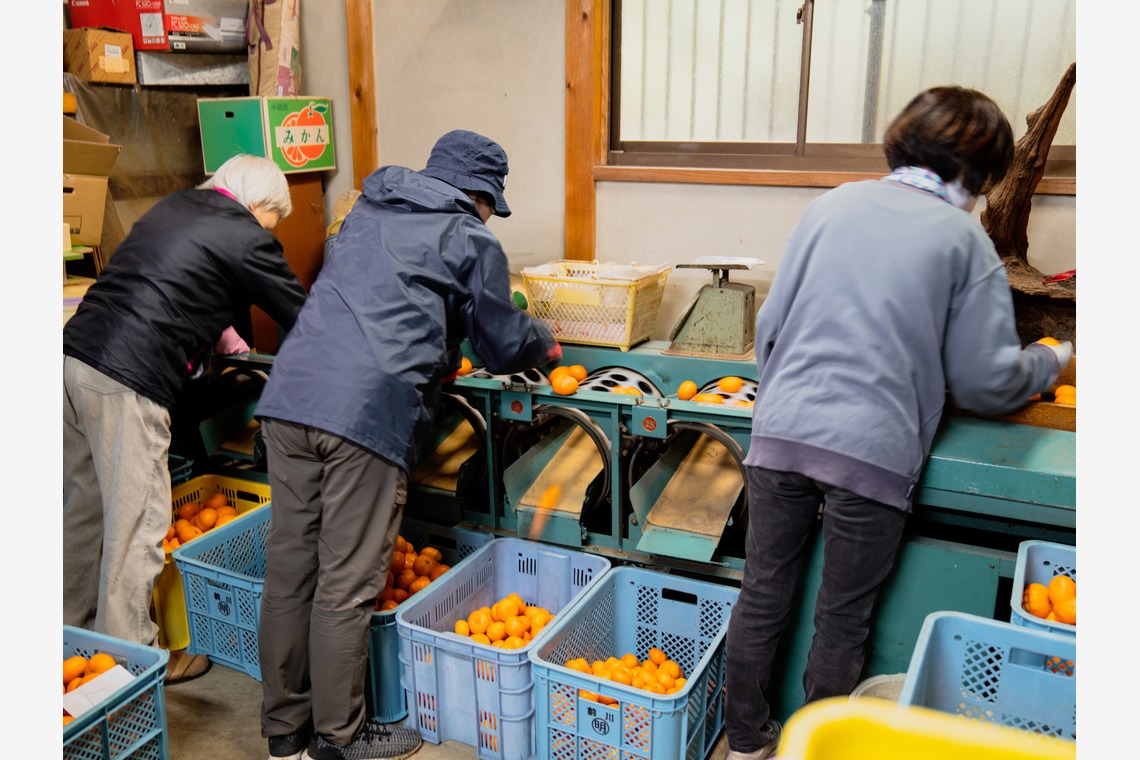 山中菜摘が撮影した写真のアルバム「インタビュー」