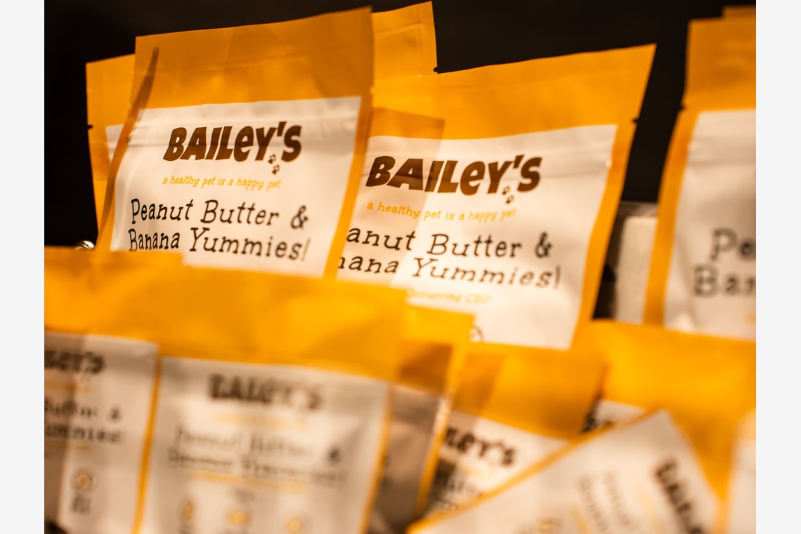 いいだが撮影した写真のアルバム「イベント風景」