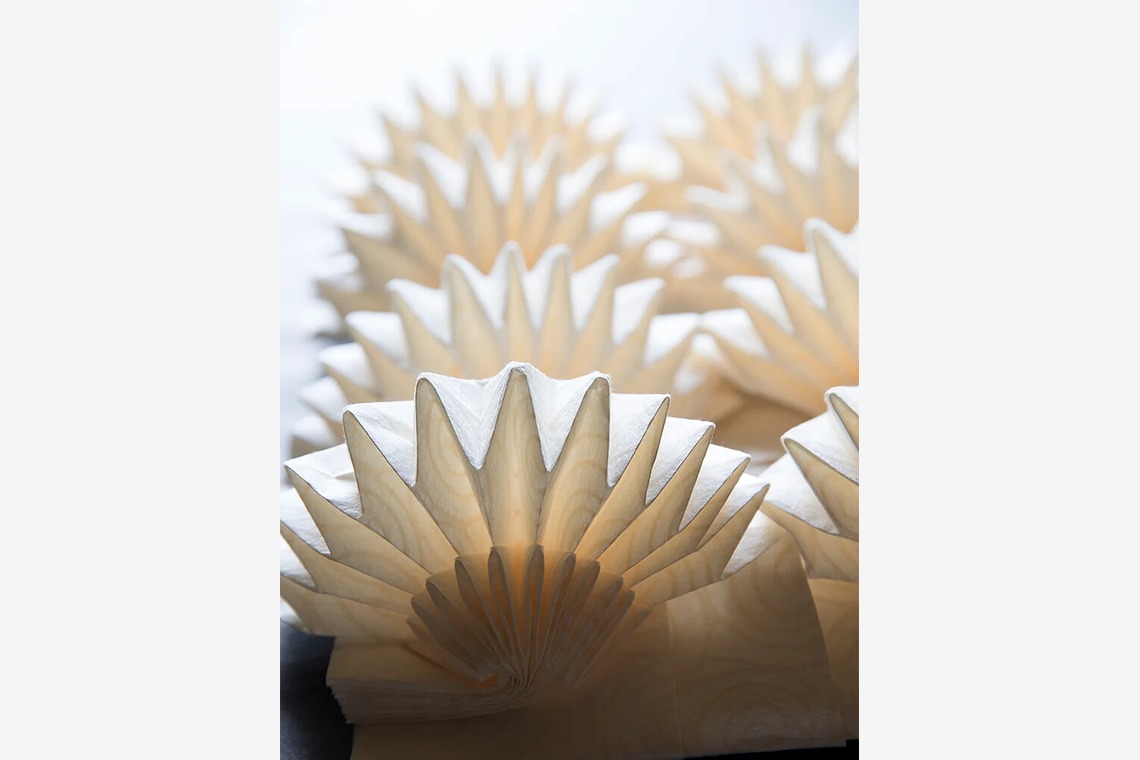 白井由香里写真事務所が撮影した写真のアルバム「取材」