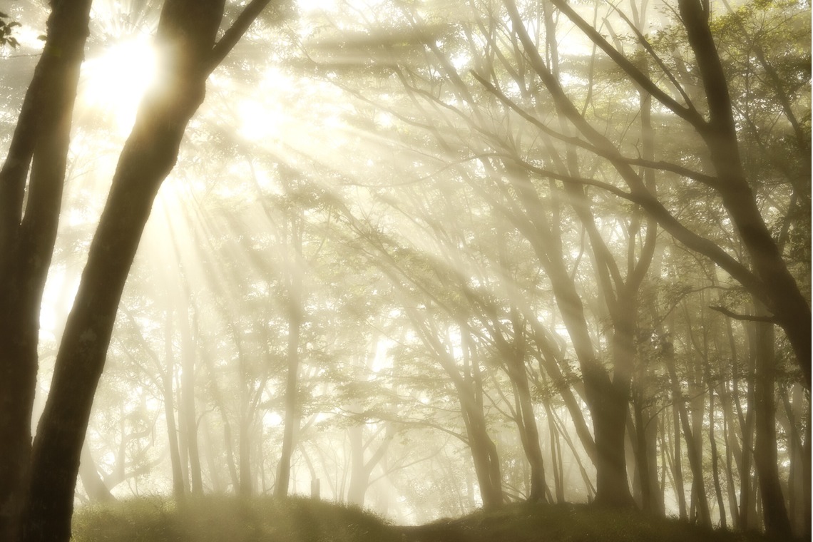岡田　哲昇が撮影した写真のアルバム「風景スナップ」