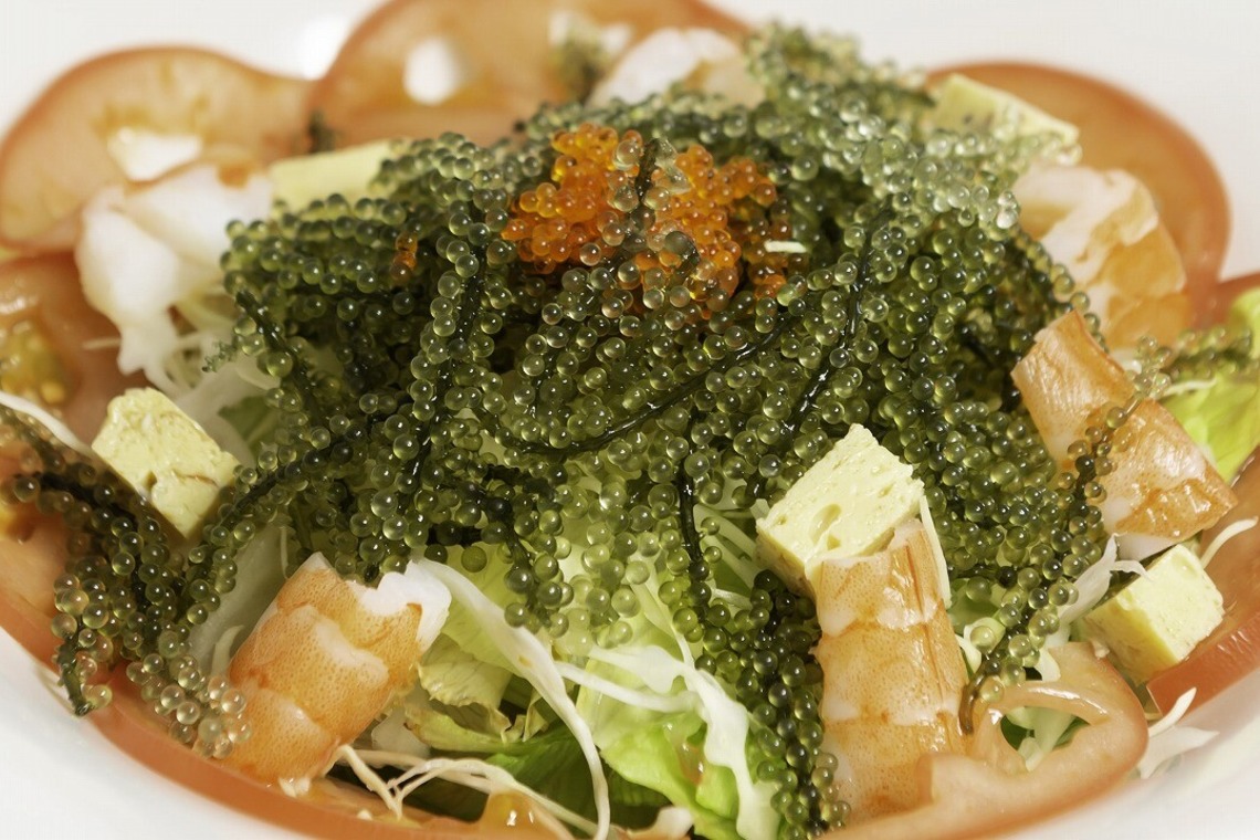 エンリッチ フォトグラフィーが撮影した「料理メニュー写真」の写真