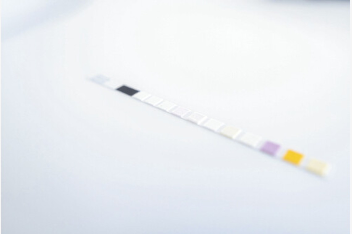 エビスフィルムが撮影した「大阪・兵庫・京都が拠点」の写真