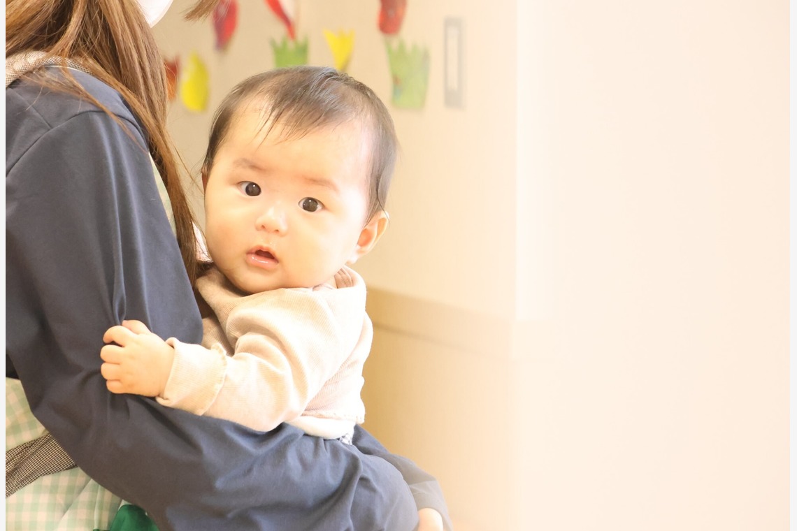 今井広樹/スタジオプランタン/日本写真家協会 会員