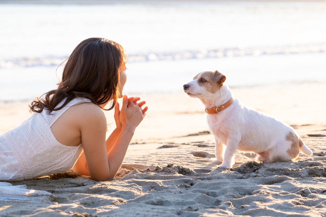 Peace-full photoが撮影した「ペット撮影」の写真