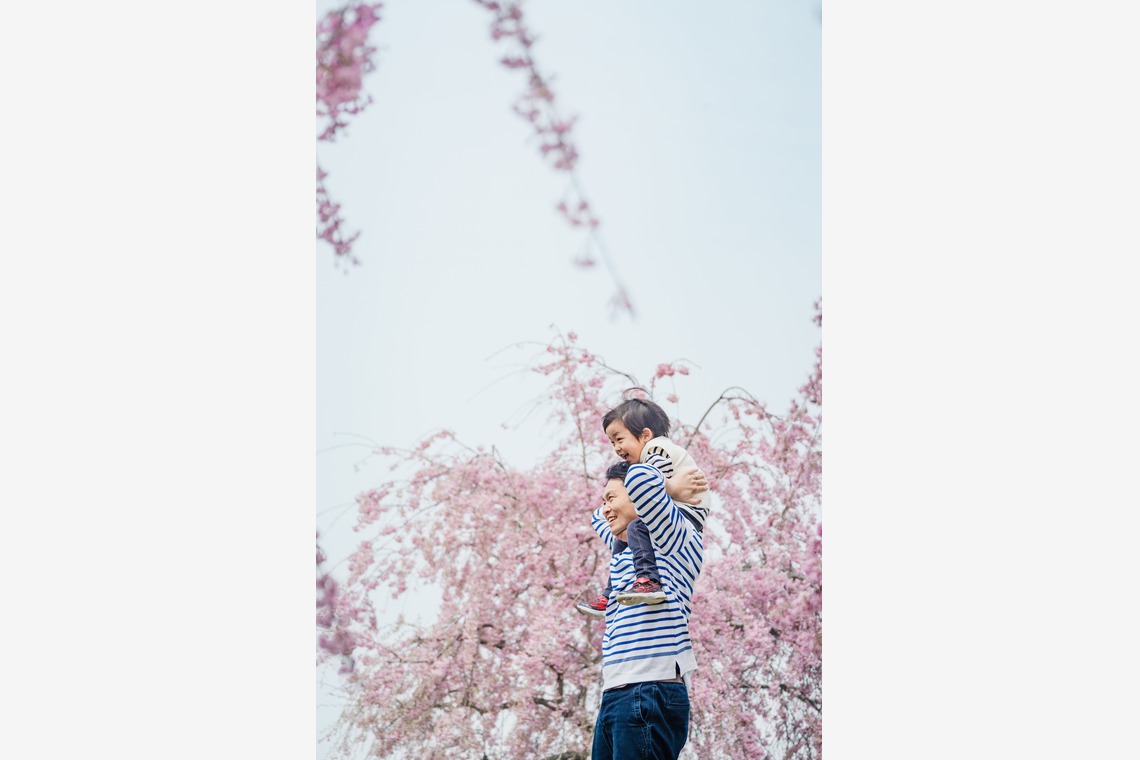 いしづか ちひろが撮影した写真のアルバム「桜ロケーション撮影/八戸」