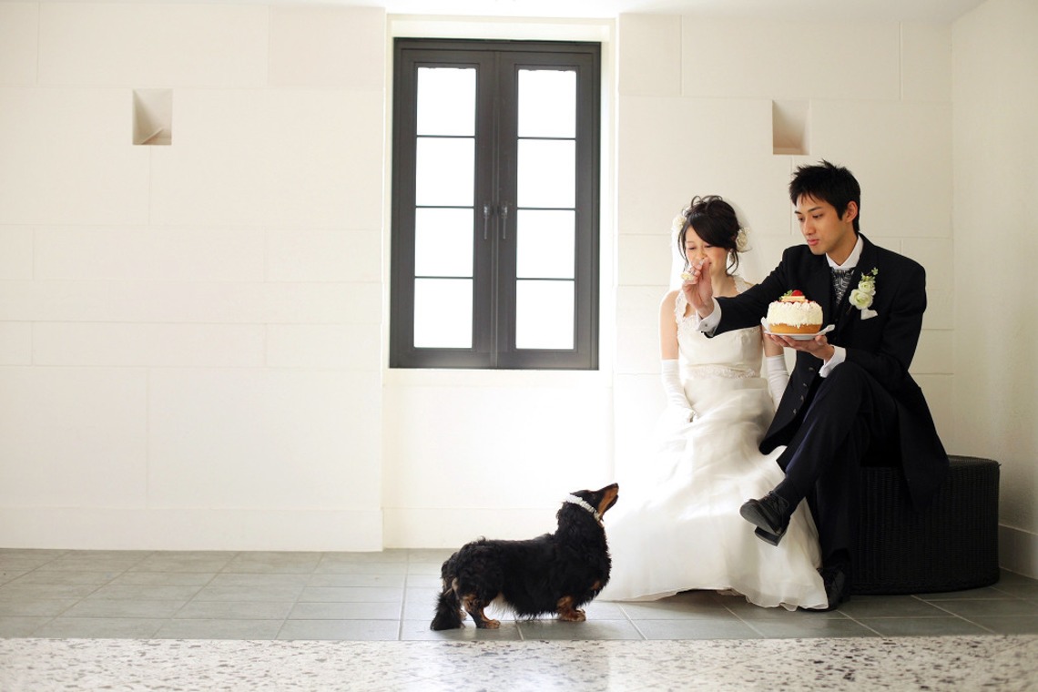 ほんとうにかわいい結婚写真ecoo（エクー）が撮影した「スタジオ」の写真