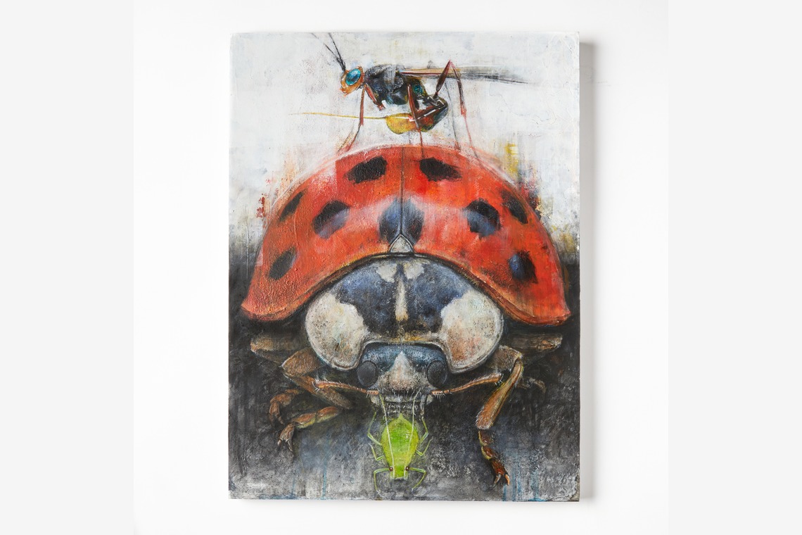 菅野恵太が撮影した写真のアルバム「シンプル物撮り」