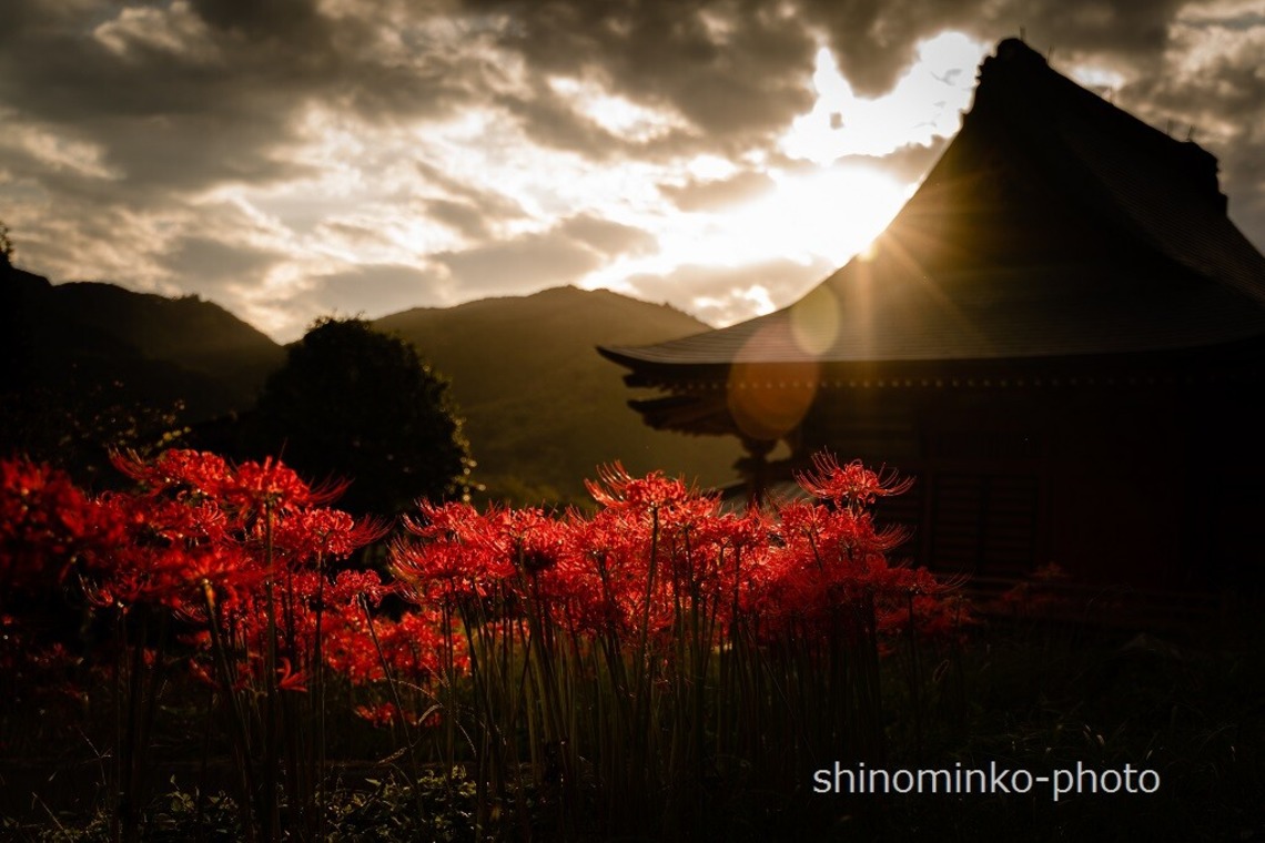 しのみんこフォトが撮影した写真のアルバム「１．空間を撮影した写真３枚以上」