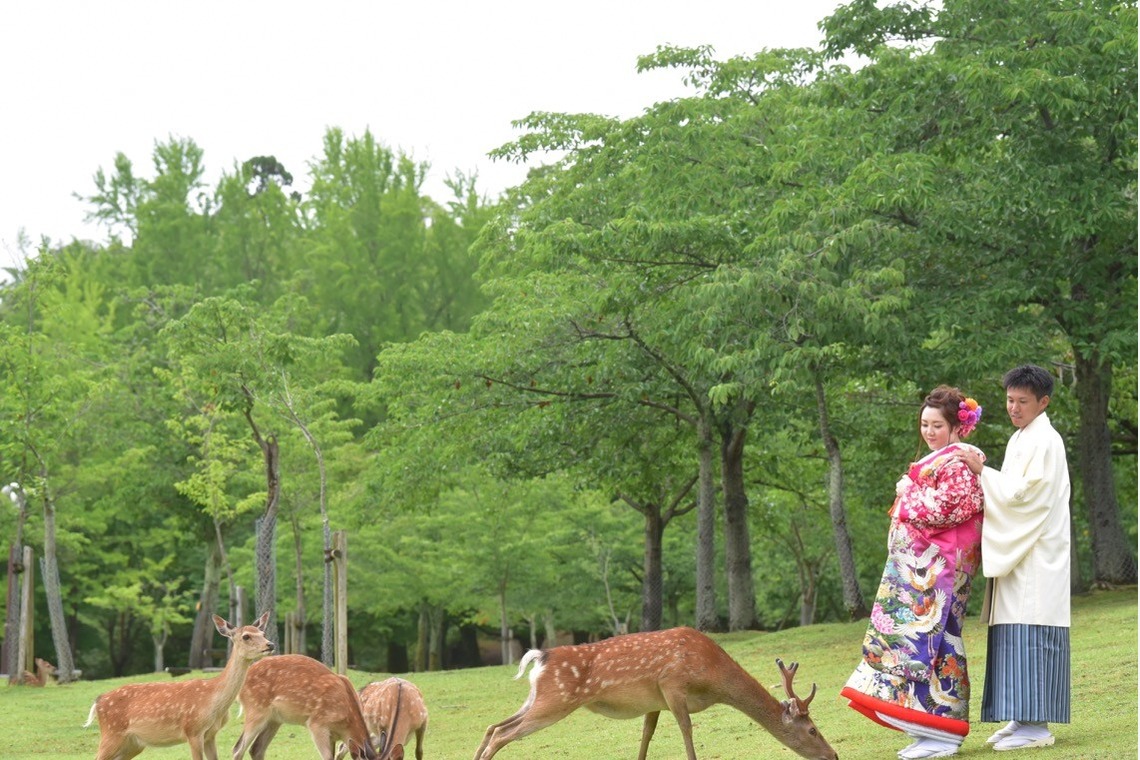 キキフォトワークスが撮影した「新緑の奈良で着物での結婚式の前撮り」の写真
