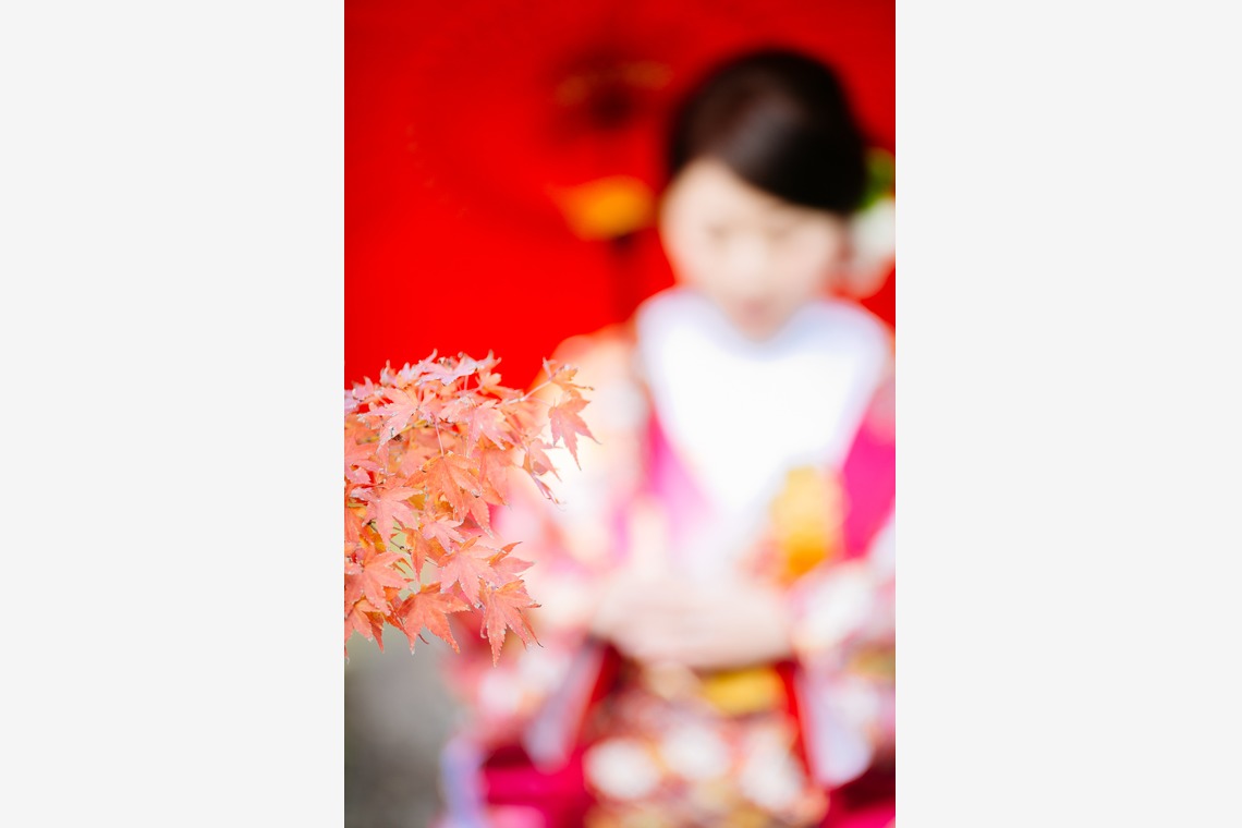 Tomi Photo Studioが撮影した写真のアルバム「和装ロケーションフォト」