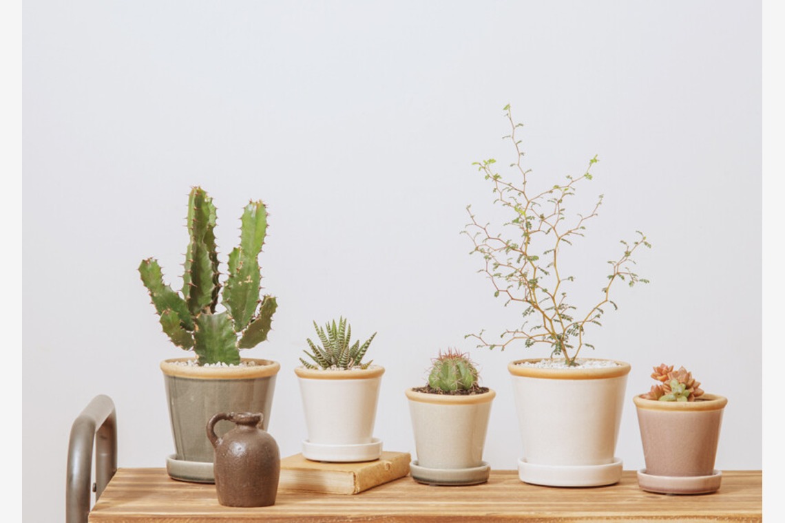 Yoppegraphy Photographic Serviceが撮影した「商品　雑貨」の写真