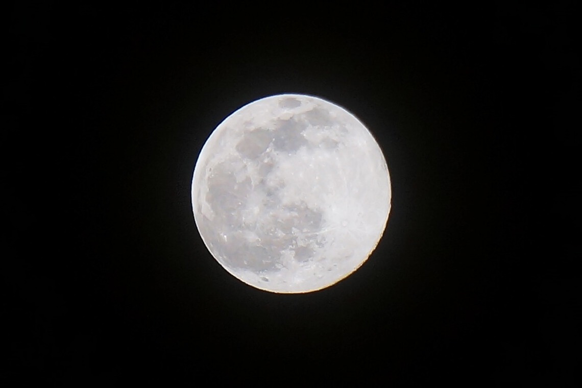 出張撮影のメモリーズが撮影した「nature-アラカルト」の写真