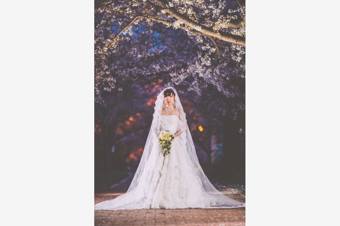 E-DETA FACTORY(出田憲司)が撮影した写真のアルバム「大阪/桜」