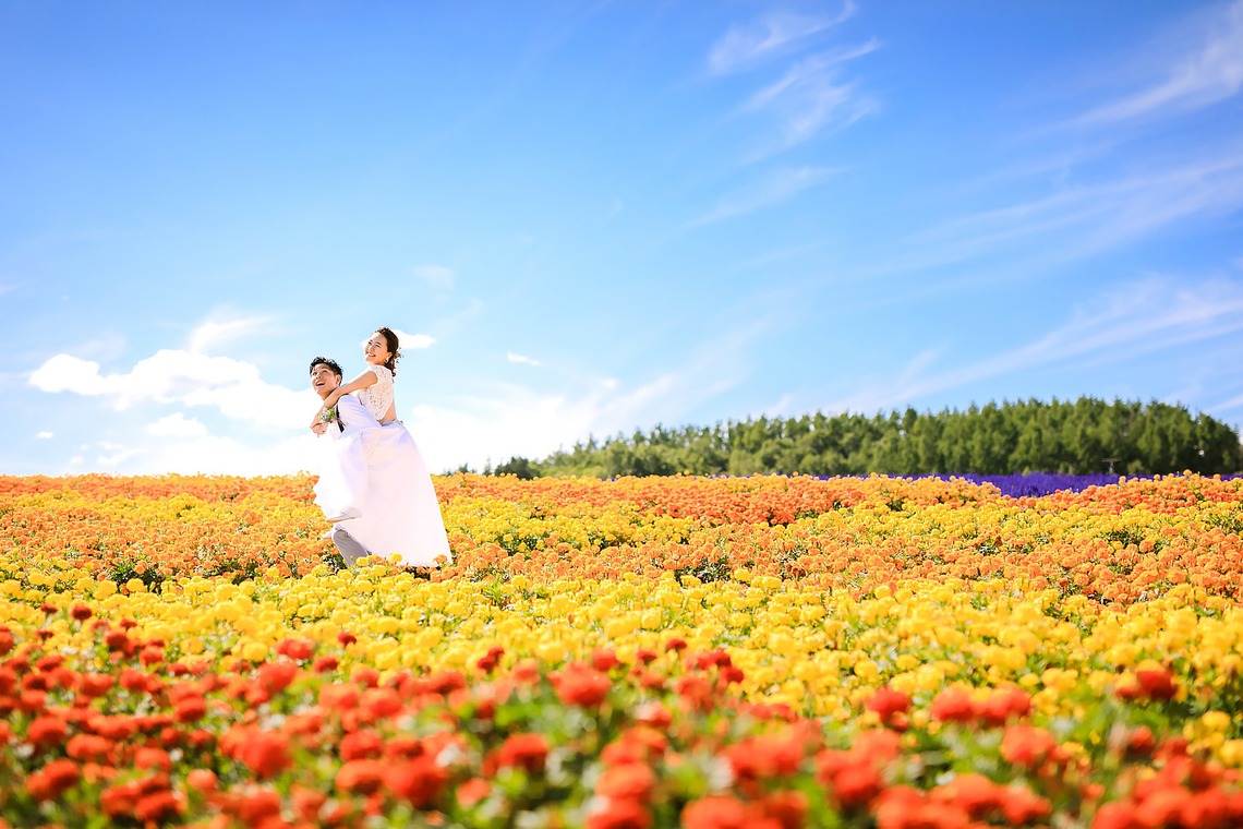 Photo of 2017 August Furano & Biei taken by APK