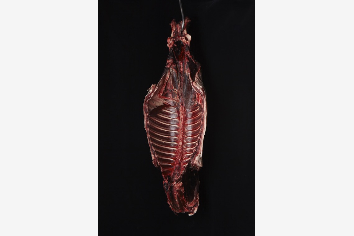 bluevalleyが撮影した「出張料理撮影」の写真