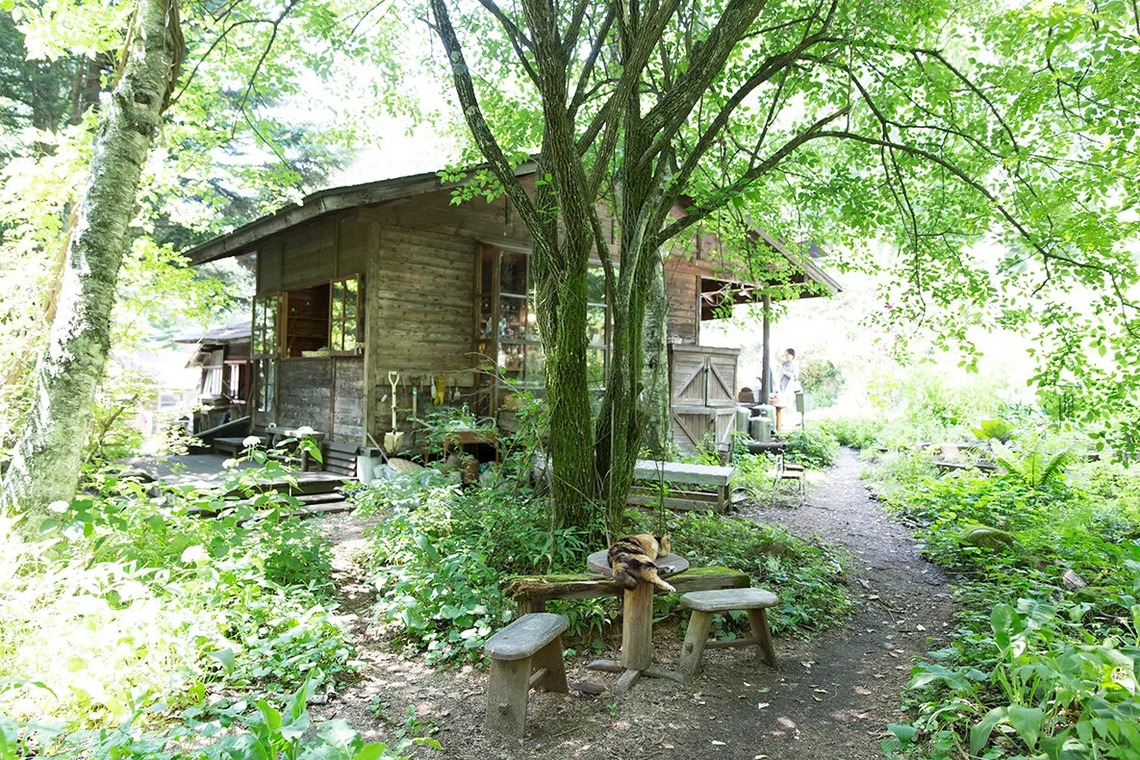 白井由香里写真事務所が撮影した写真のアルバム「インテリア」