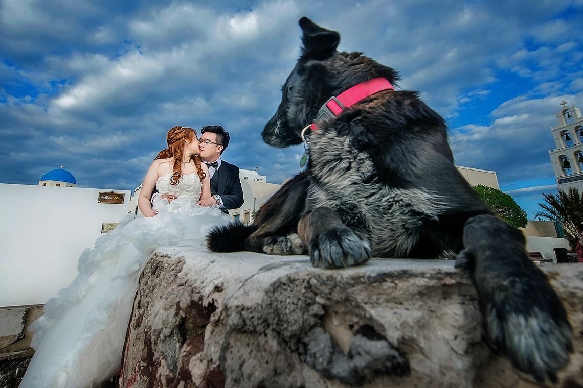 Album of the Wedding, Bridal taken by 2 of us photography - 