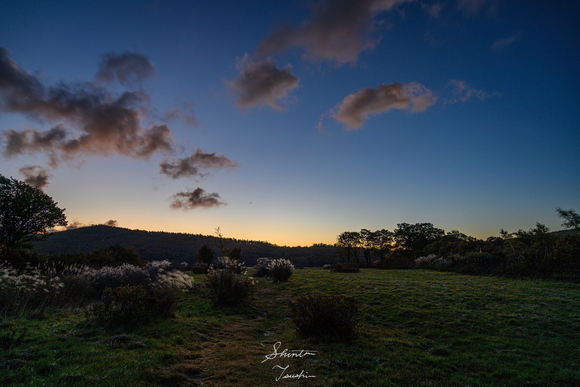 Shintaro Tsushimaが撮影した「風景」の写真