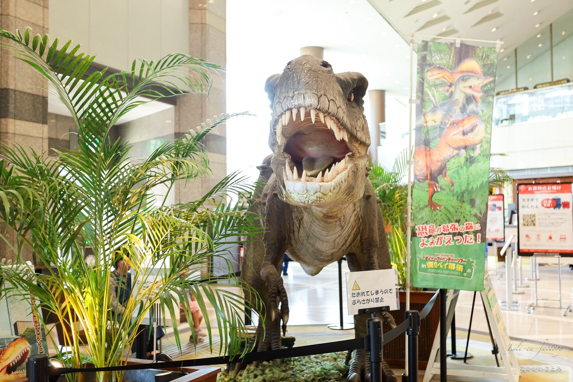 なかがわさとみが撮影した写真のアルバム「天空の女神フェス撮影」