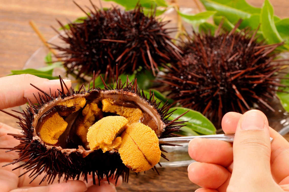 ワンツーBフォトが撮影した「料理」の写真