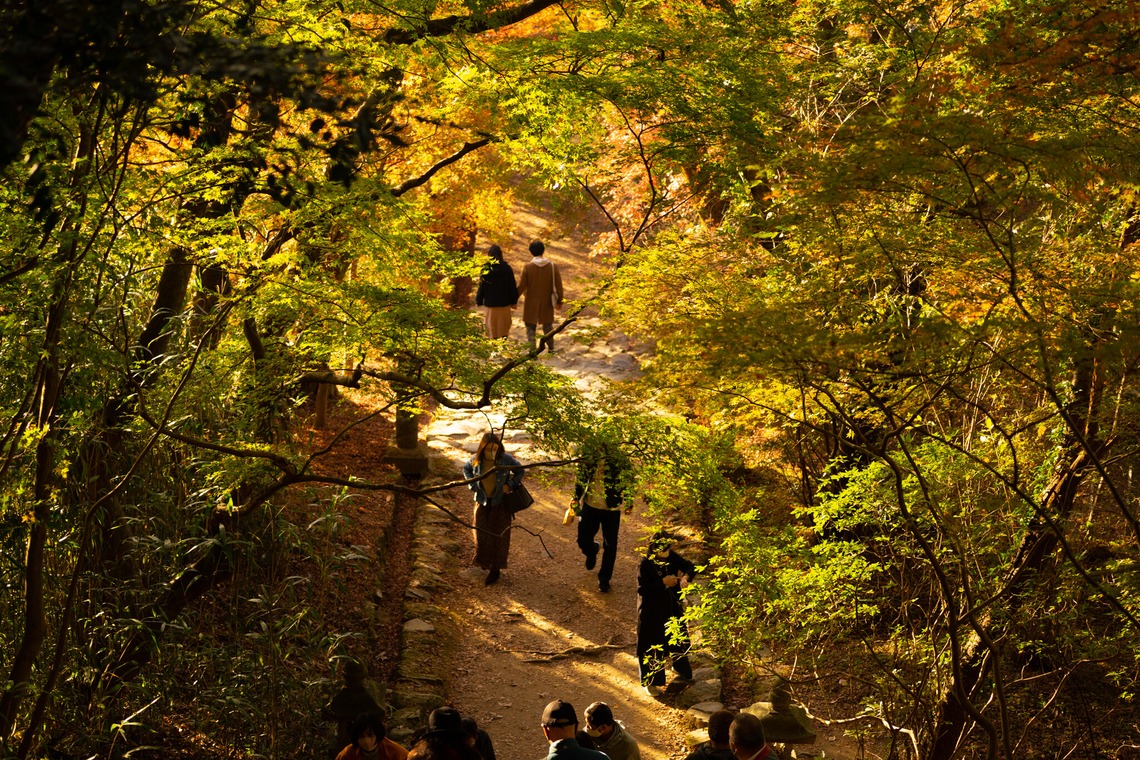 久保田　有一が撮影した写真のアルバム「風景」