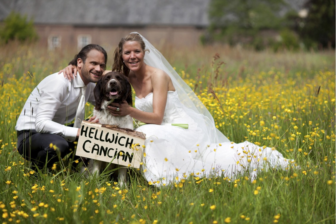 Album of the Wedding, Bridal taken by Amit Bar - 