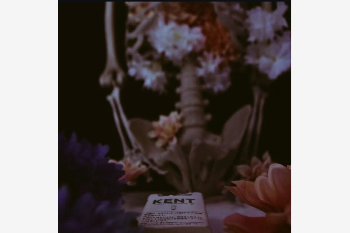 藍澤つかさが撮影した写真のアルバム「物撮り」