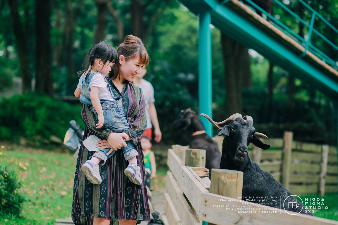 MF STUDIO Migoが撮影した「KeyKey家族の写真」の写真