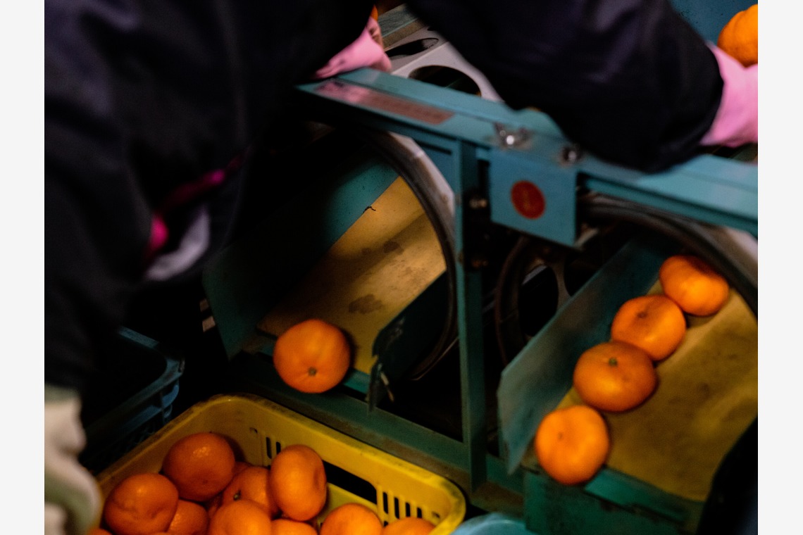 山中菜摘が撮影した写真のアルバム「インタビュー」