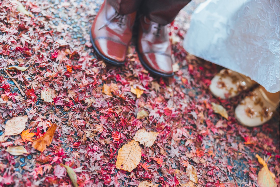 山本　留郁が撮影した「大阪鶴見緑地公園」の写真
