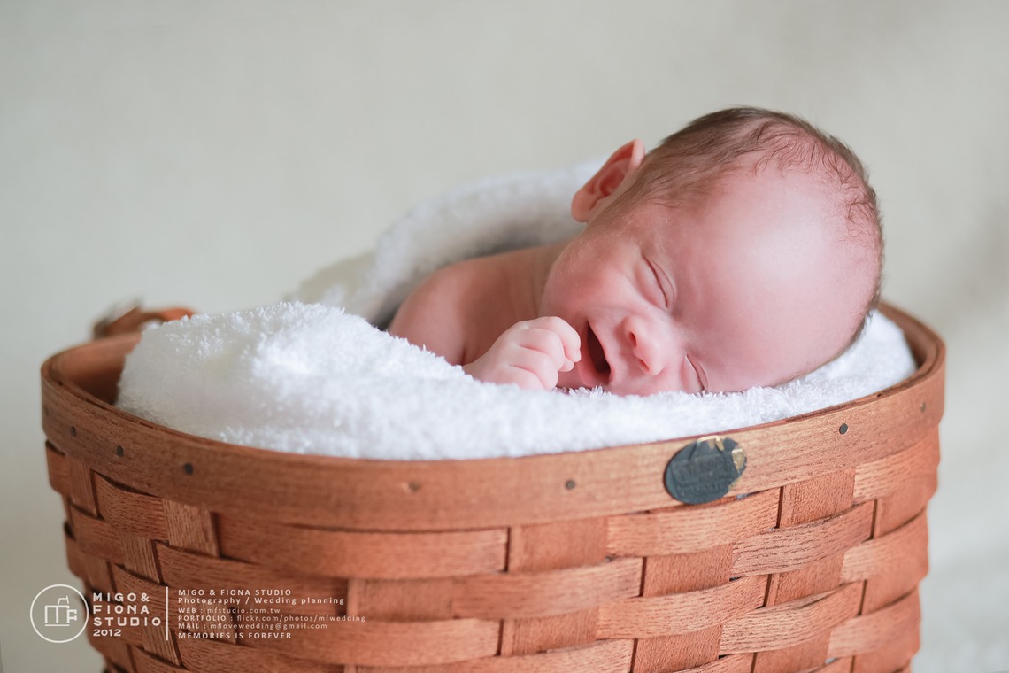 MF STUDIO Migoが撮影した写真のアルバム「新しい生まれの写真」