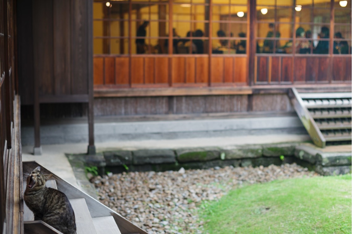 Right-Light (菅 正輝)が撮影した写真のアルバム「フォトギャラリー」