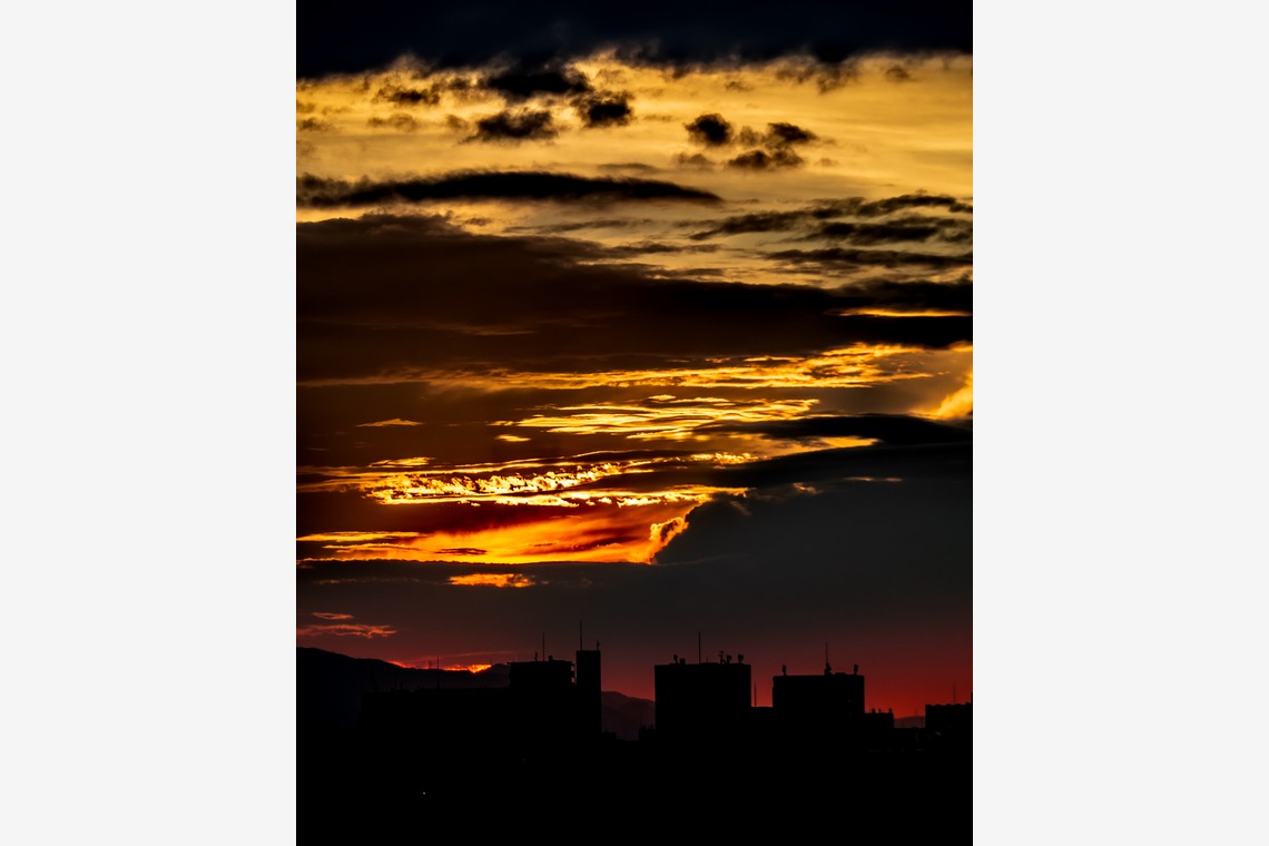 ハイナ　マテウスが撮影した「陰翳礼讃」の写真