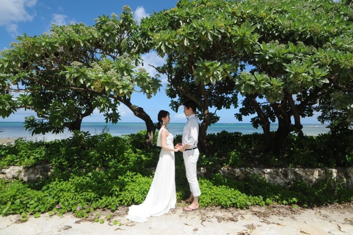 Avenir（山宮 敏明）が撮影した写真のアルバム「海の中でフォトウェディング」