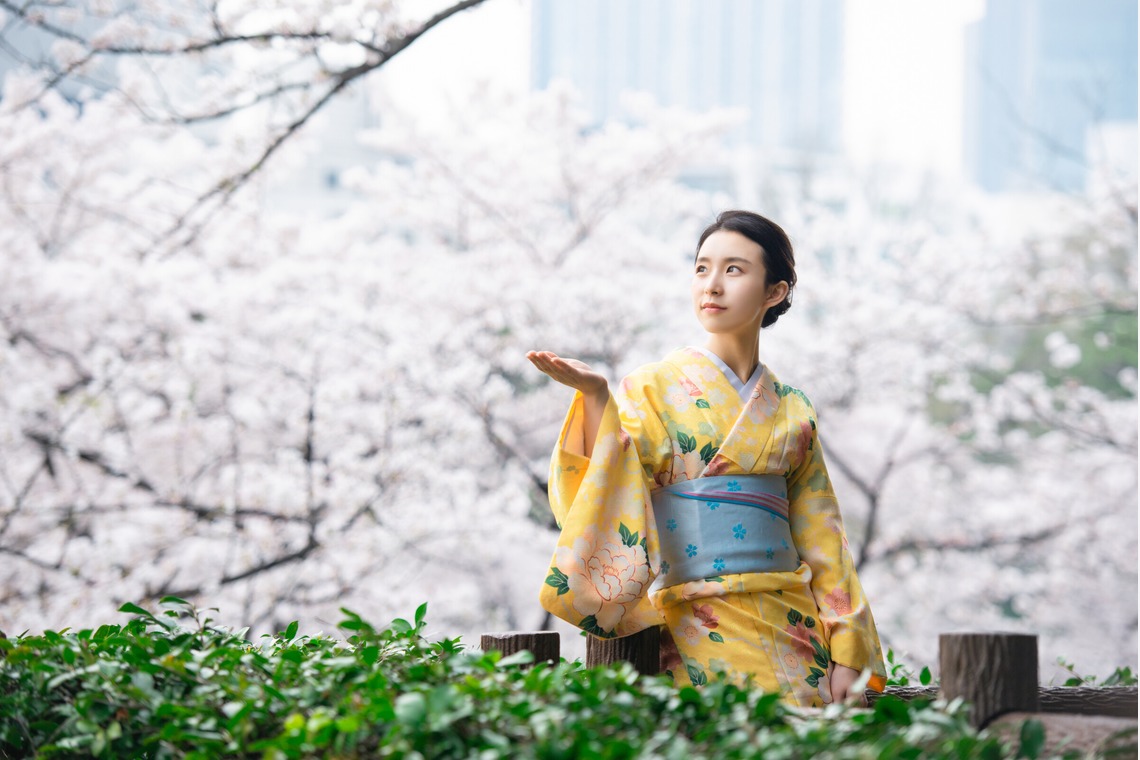 アラタンホヤガが撮影した写真のアルバム「着物撮影　桜」