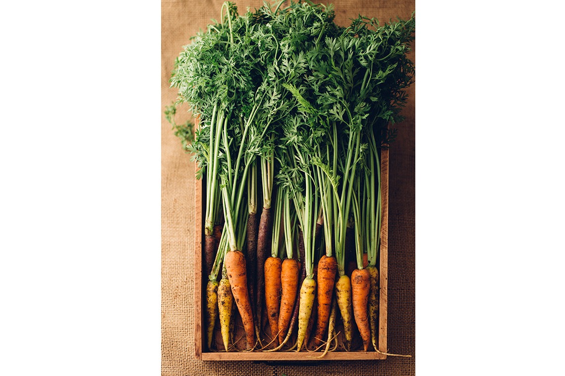 舩津　孝が撮影した写真のアルバム「フード」