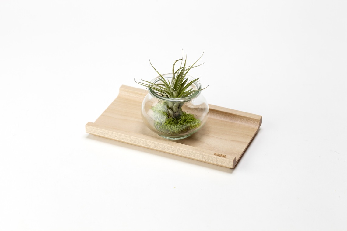 ディス・ワンが撮影した写真のアルバム「プロダクツ」