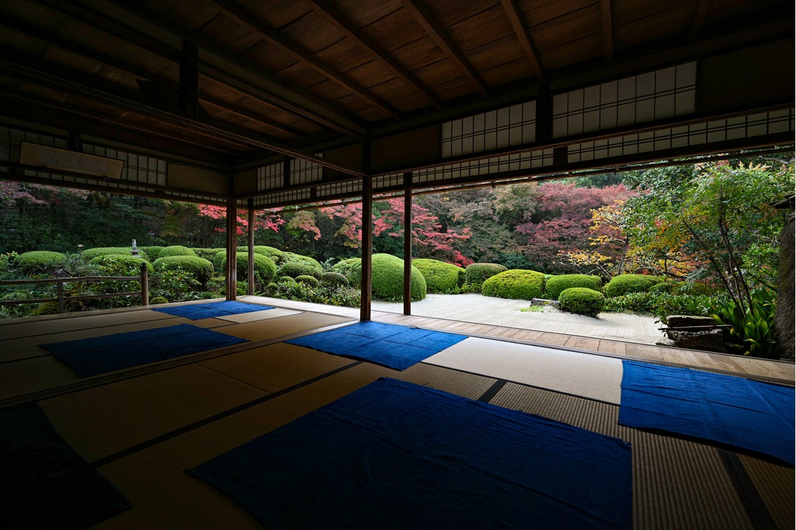 菅悠生が撮影した写真のアルバム「野外・庭園」