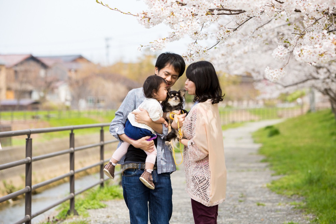 ヤマダフォトが撮影した写真のアルバム「ファミリーフォト」