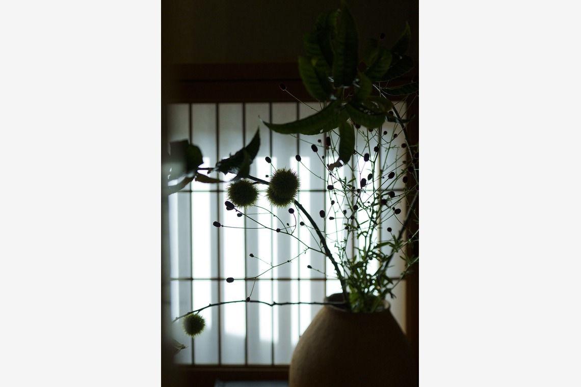 ノーザンスタジオが撮影した写真のアルバム「国際茶会／International Tea Crermony」