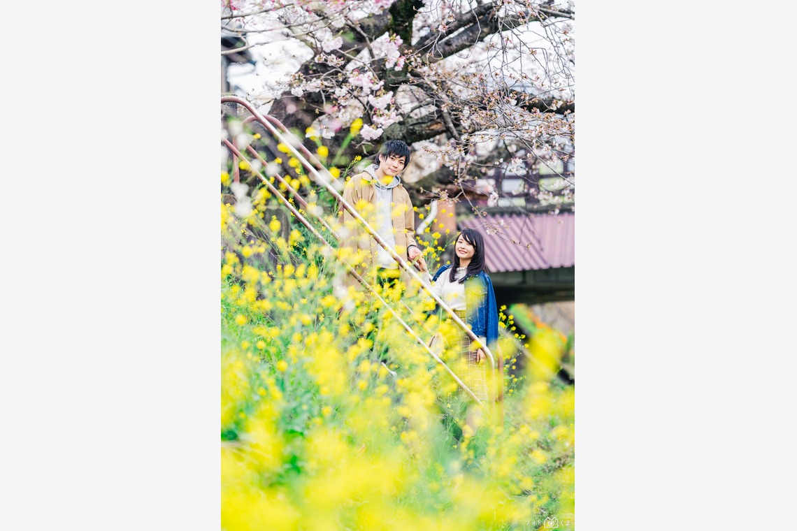 Album of the Engagement Photography taken by フォトくま - Couple photo