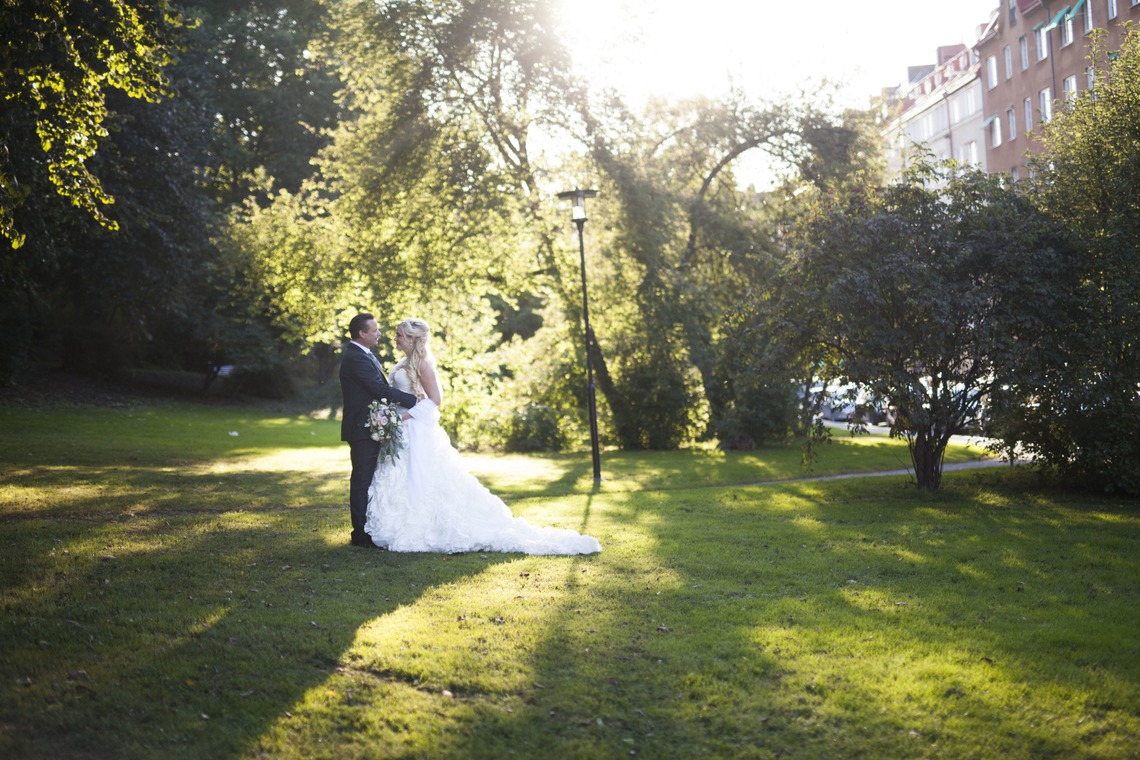 Photo of  taken by Tanja Metelitsa