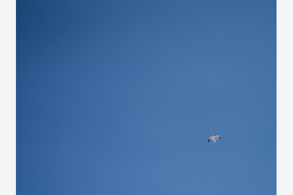 Album of the Wedding, Bridal taken by yuri uemura - ジャッキー＆ライアン - 結婚式の日