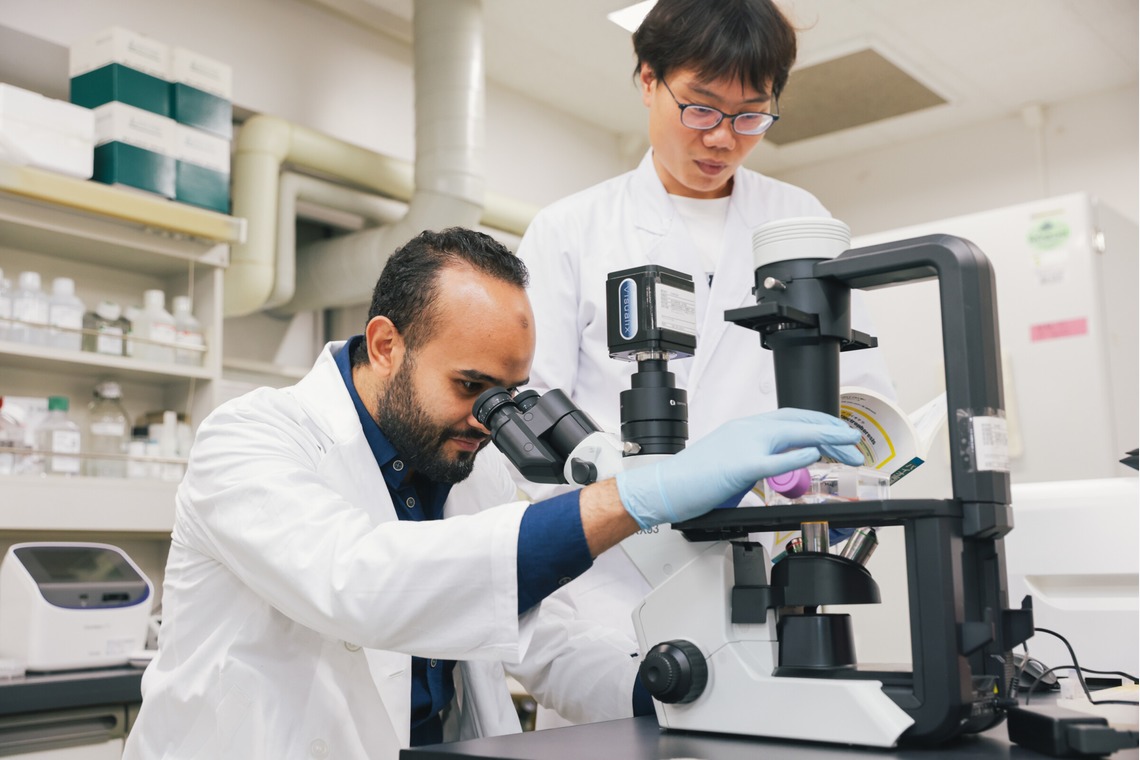 Yasui photographyが撮影した「企業求人」の写真