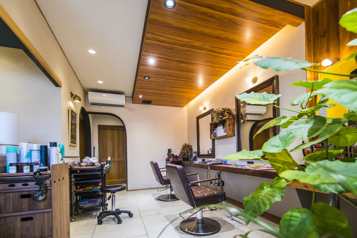 リトルダイナソー