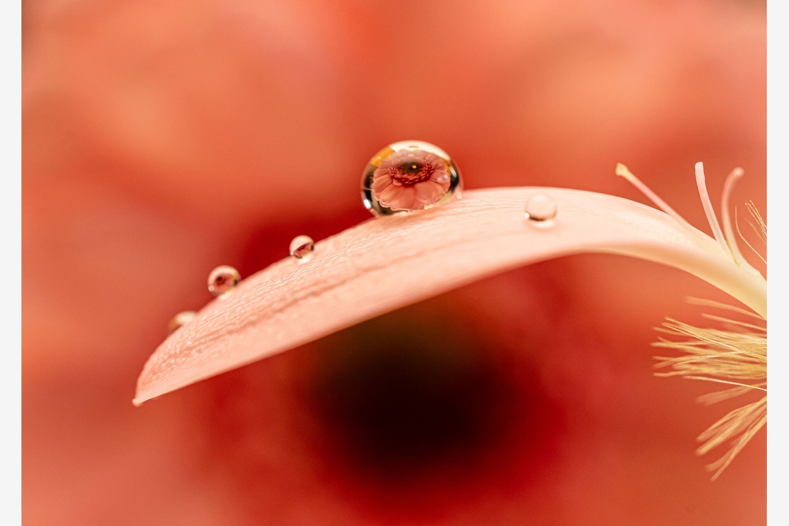 河野慈圓が撮影した写真のアルバム「物撮り」