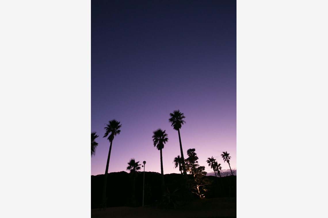 下田　東急ホテルが撮影した「フォトギャラリー」の写真