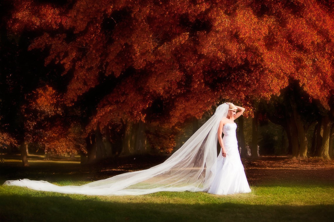 Wedding Photography Dubaiが撮影した「ドバイで???カメ」の写真