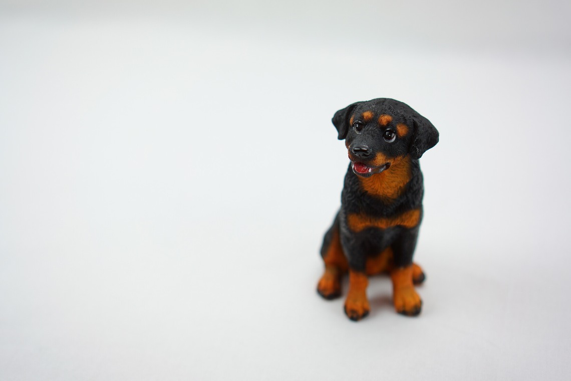 出張撮影のメモリーズが撮影した「商品撮影（アラカルト）」の写真