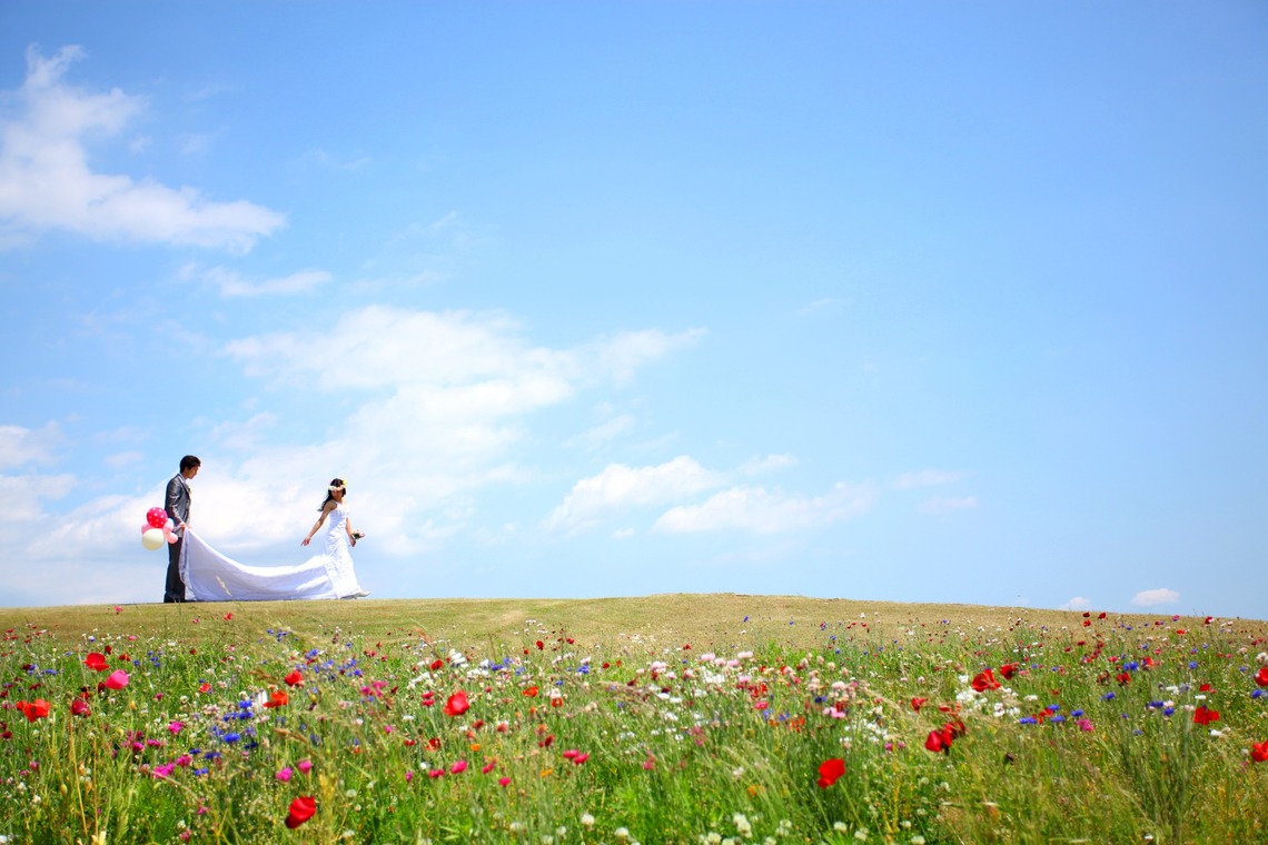 Album of the Wedding, Bridal taken by WEDDING AVENUE - 